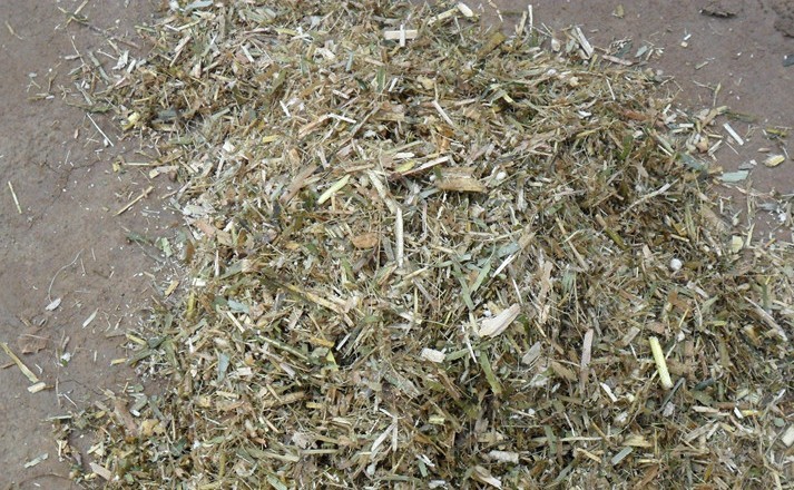 鍘草機加工出的產(chǎn)品